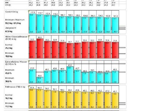 bioelektrische impedanz analyse bia