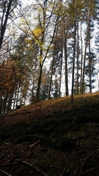 Herbsttage genießen und bewegen